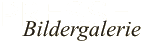 Kunst hält dagegen